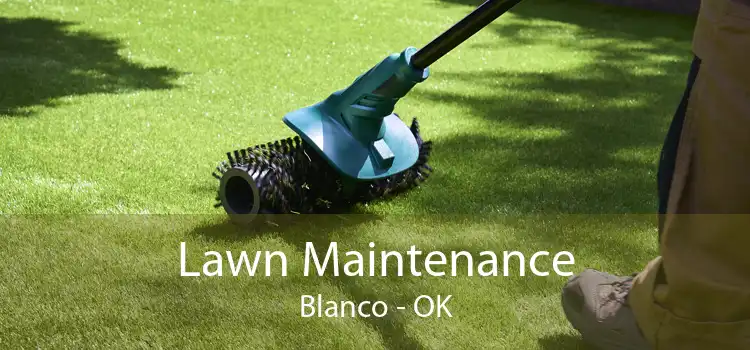 Lawn Maintenance Blanco - OK