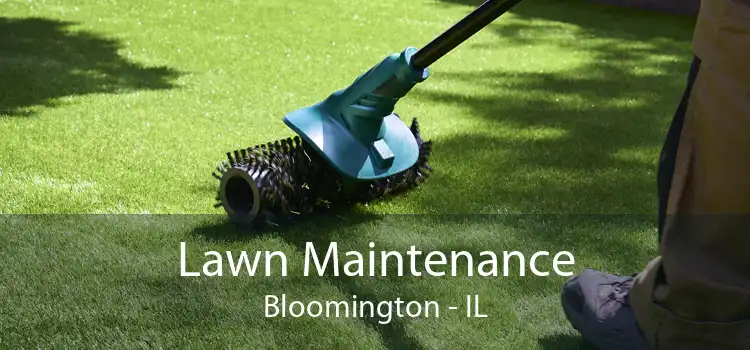 Lawn Maintenance Bloomington - IL