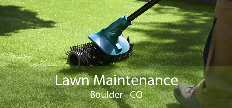 Lawn Maintenance Boulder - CO