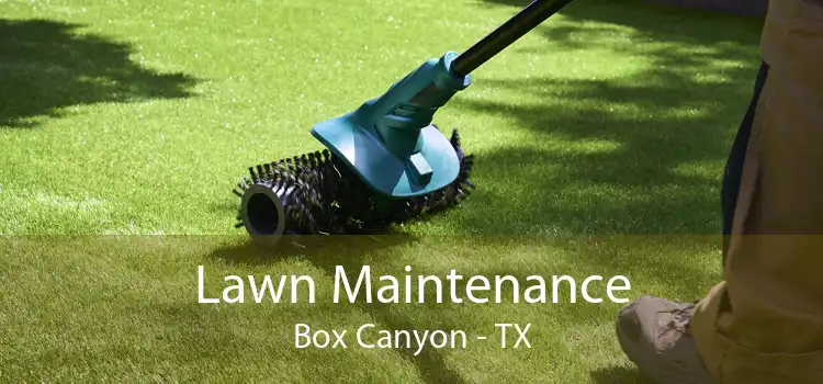 Lawn Maintenance Box Canyon - TX
