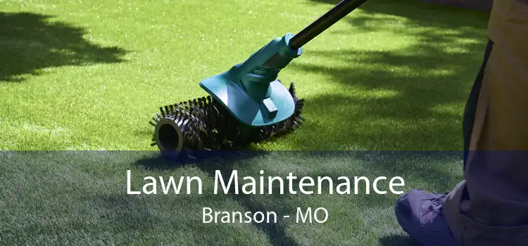 Lawn Maintenance Branson - MO