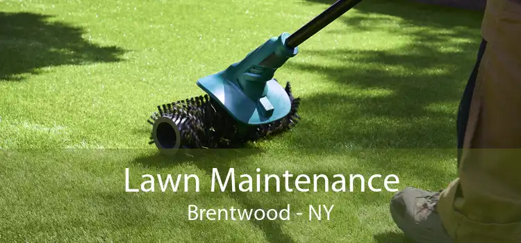 Lawn Maintenance Brentwood - NY