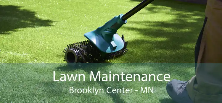 Lawn Maintenance Brooklyn Center - MN