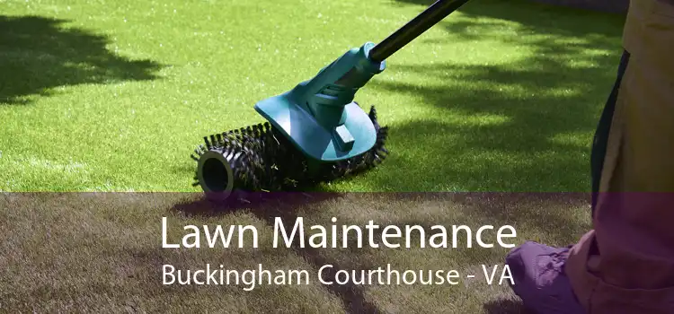Lawn Maintenance Buckingham Courthouse - VA