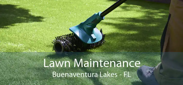 Lawn Maintenance Buenaventura Lakes - FL