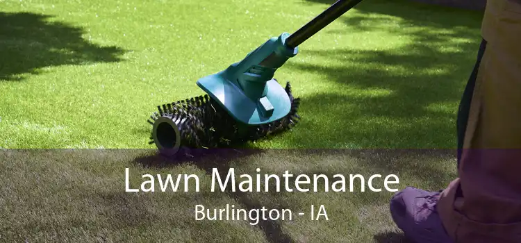 Lawn Maintenance Burlington - IA