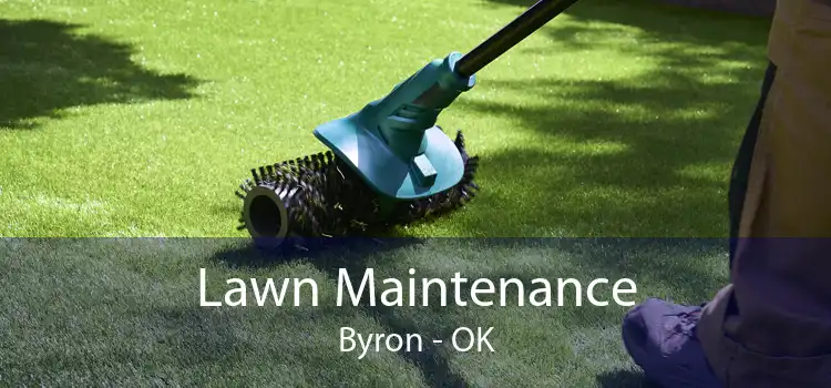 Lawn Maintenance Byron - OK