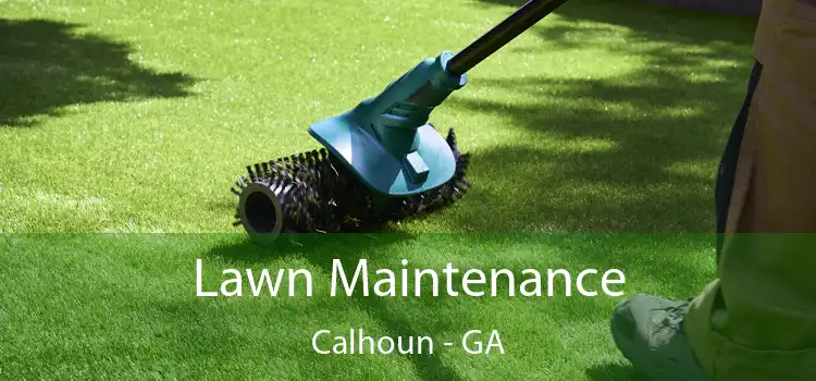 Lawn Maintenance Calhoun - GA