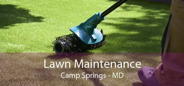 Lawn Maintenance Camp Springs - MD