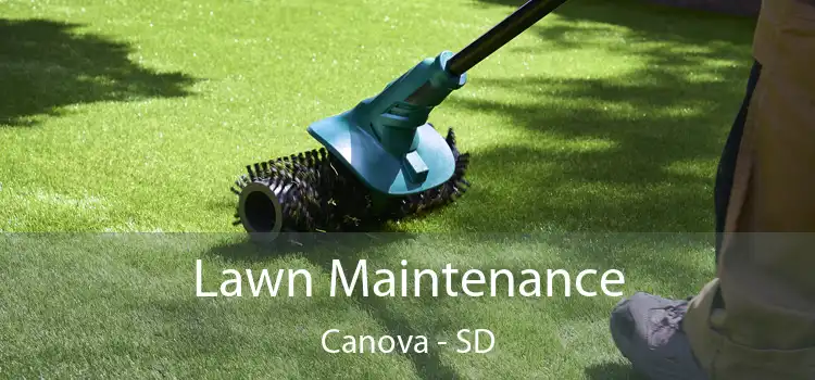 Lawn Maintenance Canova - SD