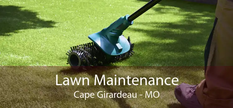 Lawn Maintenance Cape Girardeau - MO