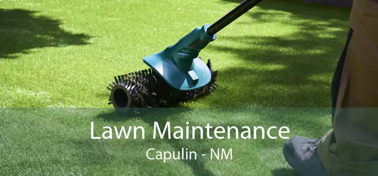 Lawn Maintenance Capulin - NM