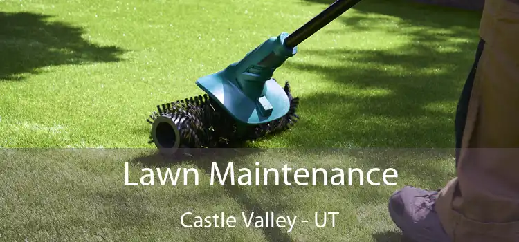 Lawn Maintenance Castle Valley - UT