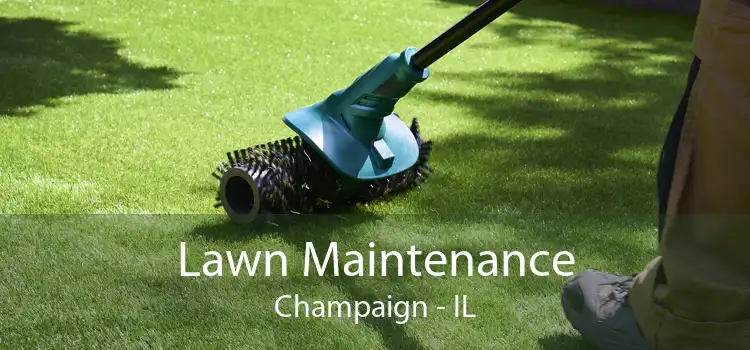 Lawn Maintenance Champaign - IL