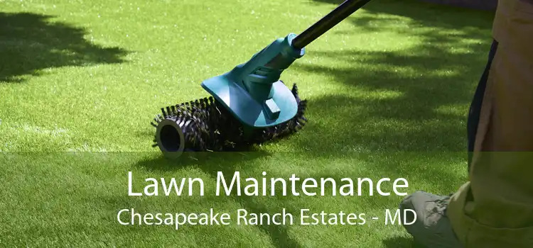 Lawn Maintenance Chesapeake Ranch Estates - MD
