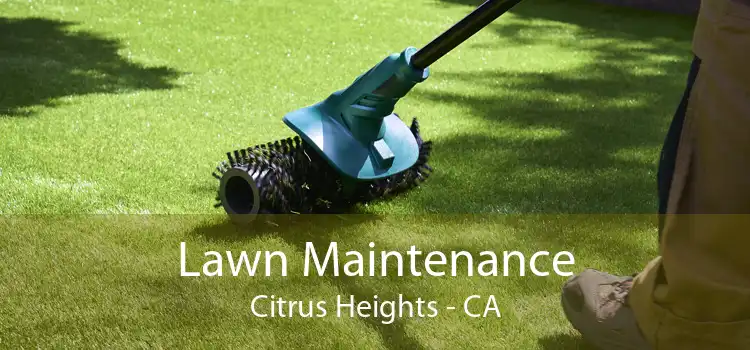 Lawn Maintenance Citrus Heights - CA