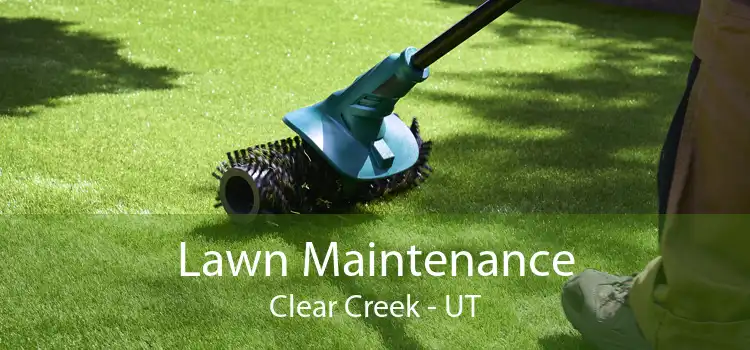 Lawn Maintenance Clear Creek - UT