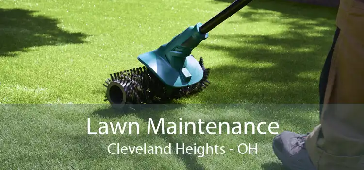 Lawn Maintenance Cleveland Heights - OH