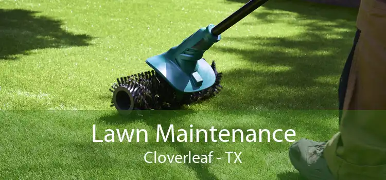 Lawn Maintenance Cloverleaf - TX
