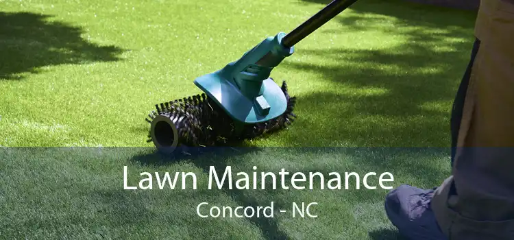 Lawn Maintenance Concord - NC