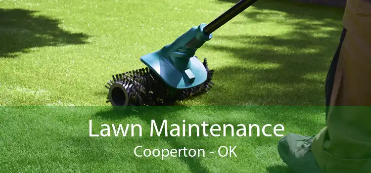 Lawn Maintenance Cooperton - OK