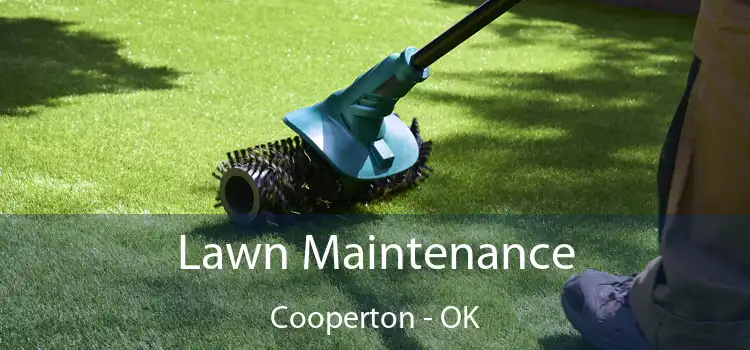 Lawn Maintenance Cooperton - OK