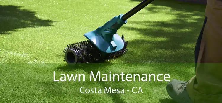 Lawn Maintenance Costa Mesa - CA