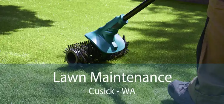 Lawn Maintenance Cusick - WA