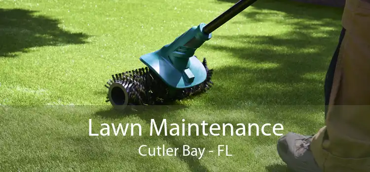 Lawn Maintenance Cutler Bay - FL