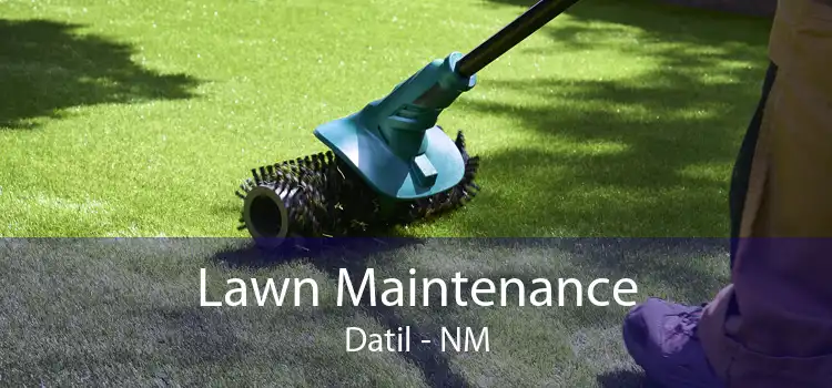 Lawn Maintenance Datil - NM
