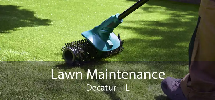 Lawn Maintenance Decatur - IL