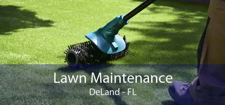 Lawn Maintenance DeLand - FL
