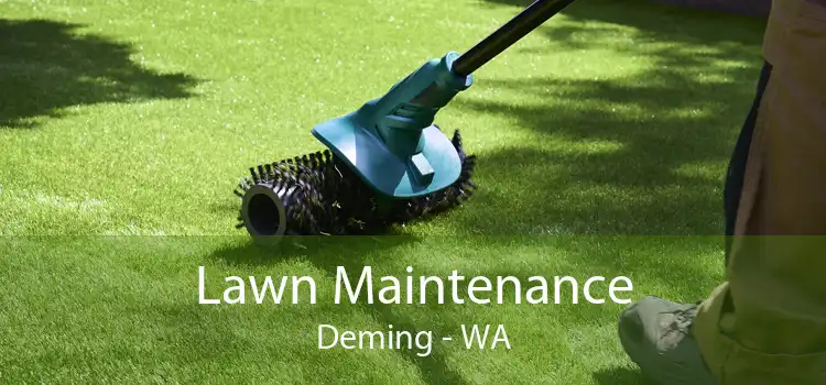Lawn Maintenance Deming - WA