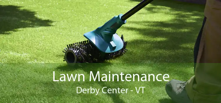 Lawn Maintenance Derby Center - VT