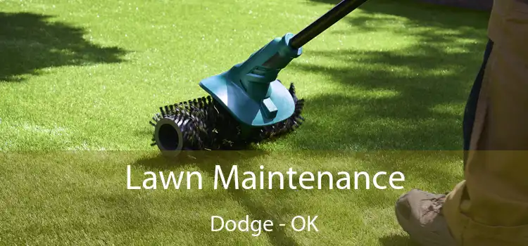  Lawn Maintenance Dodge - OK