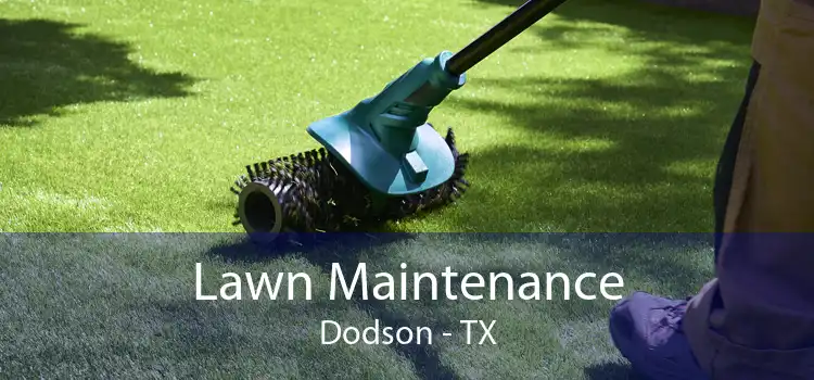 Lawn Maintenance Dodson - TX
