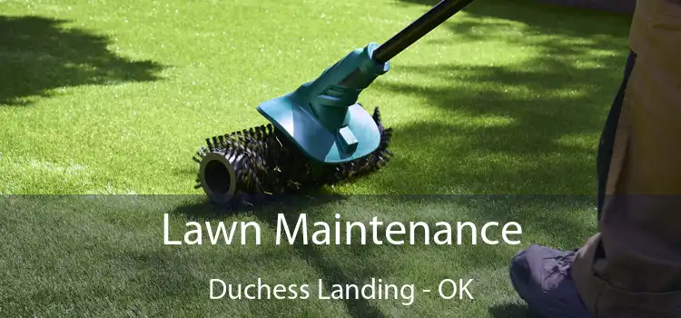 Lawn Maintenance Duchess Landing - OK