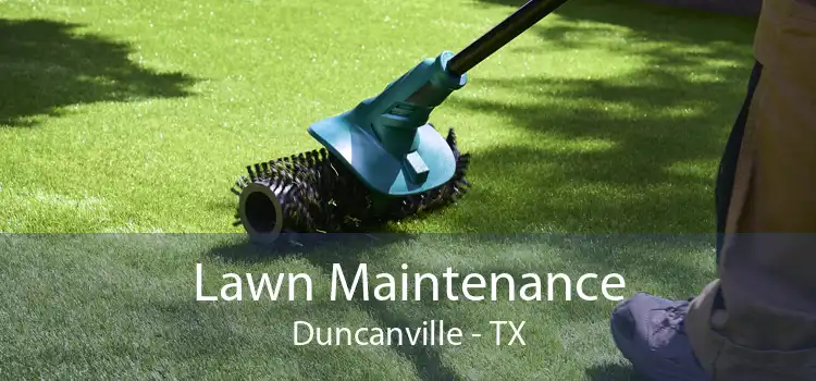 Lawn Maintenance Duncanville - TX