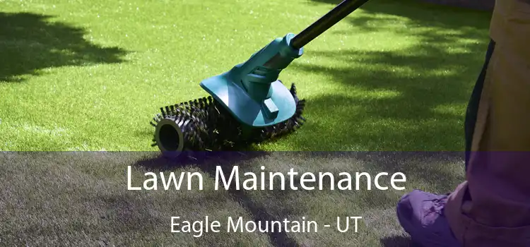 Lawn Maintenance Eagle Mountain - UT