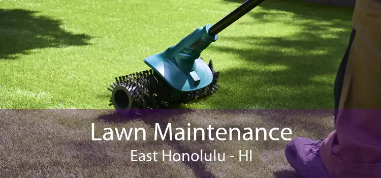 Lawn Maintenance East Honolulu - HI
