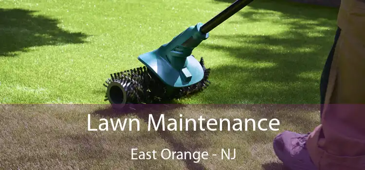 Lawn Maintenance East Orange - NJ