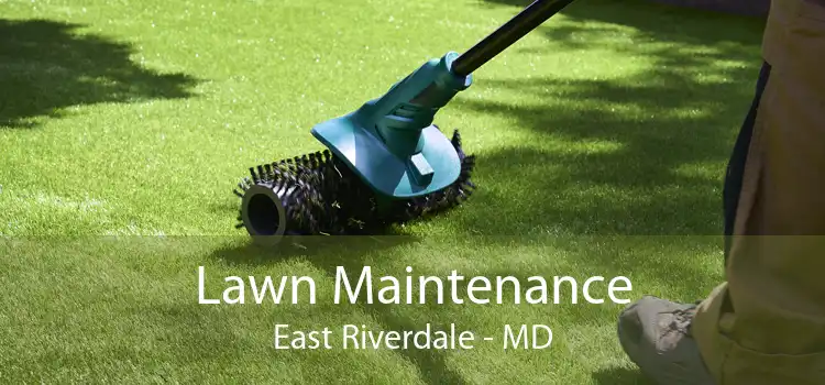 Lawn Maintenance East Riverdale - MD