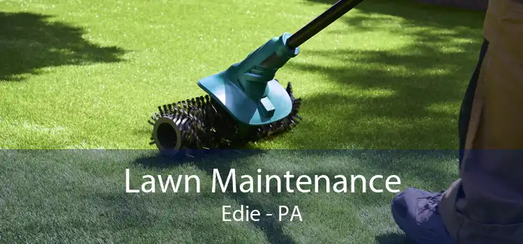 Lawn Maintenance Edie - PA