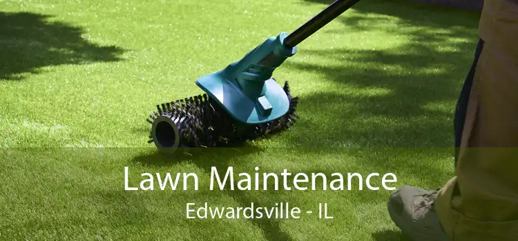 Lawn Maintenance Edwardsville - IL