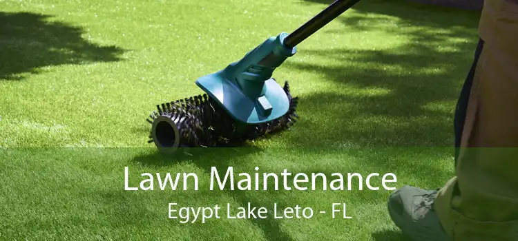 Lawn Maintenance Egypt Lake Leto - FL