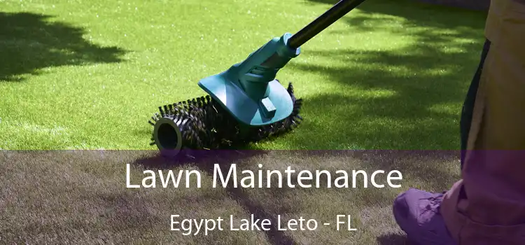 Lawn Maintenance Egypt Lake Leto - FL