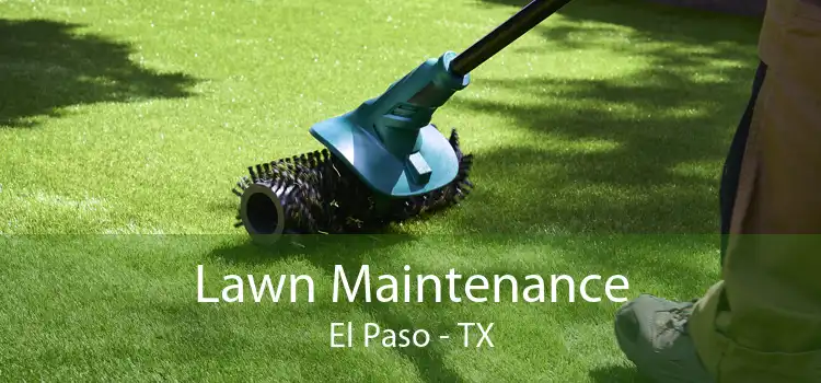Lawn Maintenance El Paso - TX