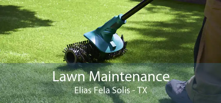 Lawn Maintenance Elias Fela Solis - TX