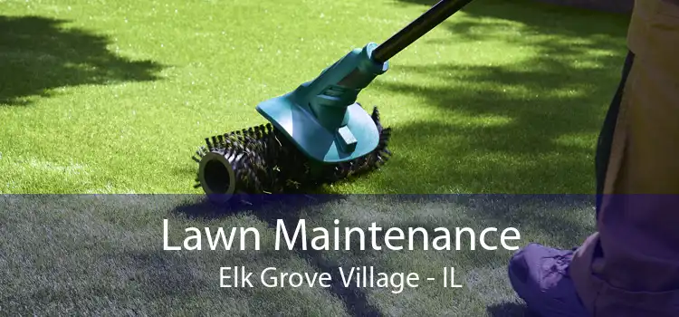 Lawn Maintenance Elk Grove Village - IL