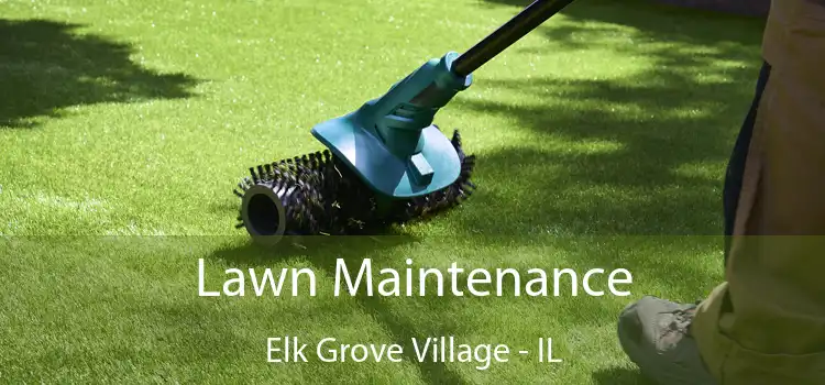  Lawn Maintenance Elk Grove Village - IL